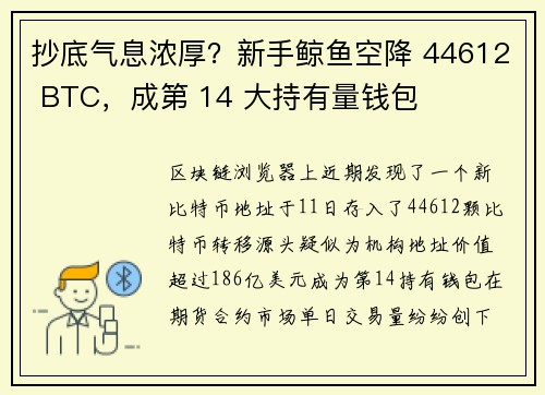 抄底气息浓厚？新手鲸鱼空降 44612 BTC，成第 14 大持有量钱包